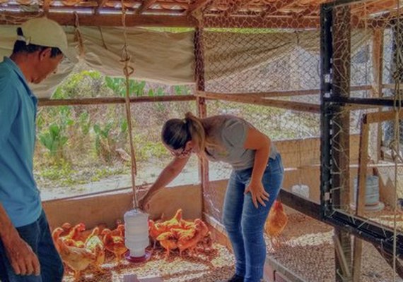 Emater e Fapeal lançam seleção pública com 20 vagas para bolsistas