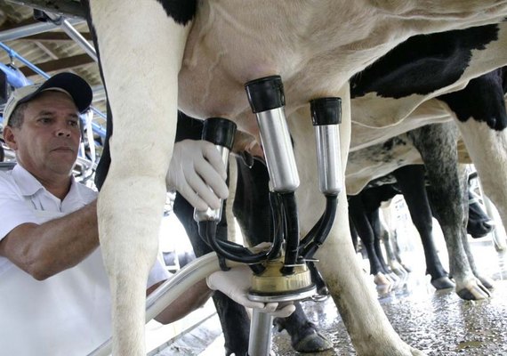 Preço do leite pago aos produtores tem quarto mês de alta