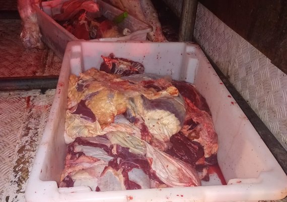 Carga de carne transportada sem refrigeração é apreendida na AL-101 Norte