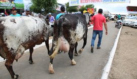 Lançamento oficial da 40ª Expo Bacia acontece dia 19