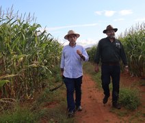Unicafes-AL realiza visita técnica à primeira cooperativa de milho do estado de Alagoas
