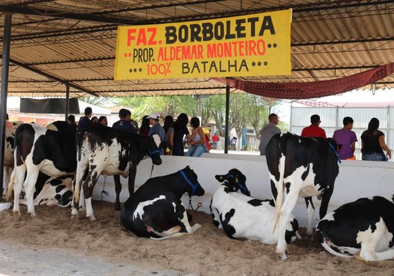 Presidente da CPLA reforça importância da Expo Bacia para a pecuária alagoana