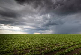 Desafios econômicos do El Niño: agricultores sob pressão