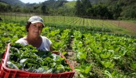 BNDES e entidades lançam chamadas de até R$ 4 mi para pequenos agricultores