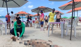 Golfinho é encontrado morto na Praia do Francês, em Marechal