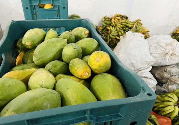 Em menos de 10 dias, 115 toneladas de alimentos foram doadas pelo PAA em Alagoas