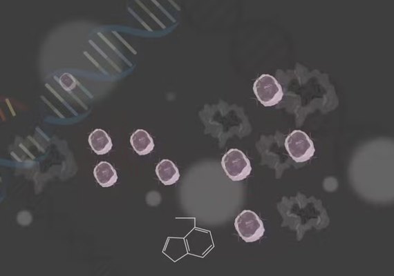 Cientistas criam célula CAR-T 'turbinada' com nanogel para superar barreira de tumores cancerígenos sólidos