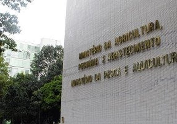 Mapa participa de consulta do governo para a construção do Plano Plurianual