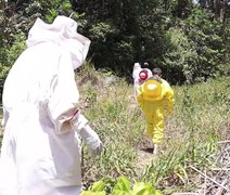 Parceria entre usina e apicultores une produção e preservação ambiental na Barra de São Miguel