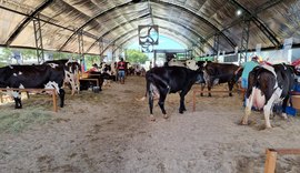 Secretaria de Agricultura prepara programação para a 40ª Expo Bacia Leiteira