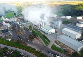 Cooperativa Pindorama aposta em etanol do sorgo