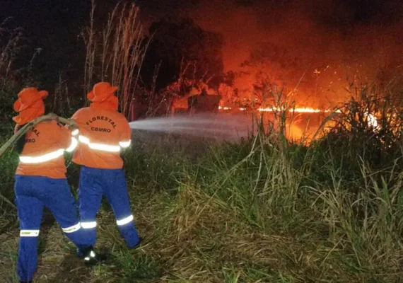 Situação de emergência por incêndio florestal cresceu 354% em agosto