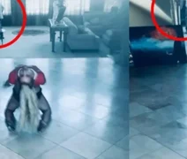 Britney Spears acusa funcionário de casa de ser “paparazzi secreto”