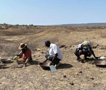 Estudo revela que hominídeos já usavam técnicas de açougue há 1,6 mi de anos