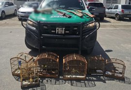 PM-AL apreende animais silvestres e armas em operação no Litoral Norte