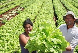 Mapa atualiza condições para inscrição no Cadastro Nacional da Agricultura Familiar