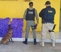 Operação apreende de 194 kg de maconha no interior de AL; droga ia para Arapiraca