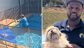 Vídeo: cão cego é resgatado por trabalhador após se afogar em piscina em Goiás