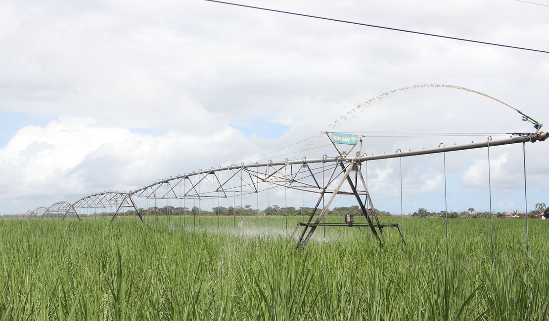 Novo marco regulatório dos bioinsumos tem potencial para impulsionar o crescimento