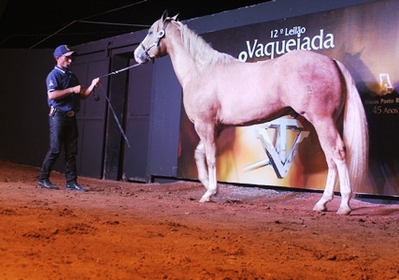 13ª Vaquejada e Trabalho aposta em facilidades de comércio