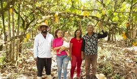 Cooperativas da agricultura familiar entram no centro do debate sobre crédito rural