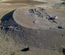 Arqueólogos descobrem flor rara de Ancara preservada há 4 mil anos em sítio