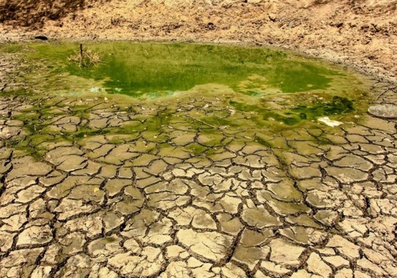 Decretada situação de emergência em municípios de Alagoas