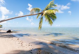 Alagoas brilha em prêmio nacional e disputa topo do turismo