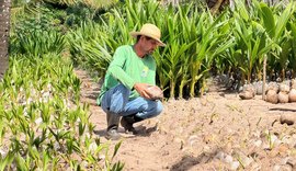 Coopaiba promove Dia do Campo com foco em inovação e agricultura familiar