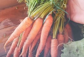 1ª Feira Agroecológica e Solidária reúne diversidade criativa de pequenos produtores