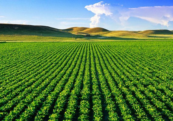 Índice de Confiança do Agronegócio é o maior da história