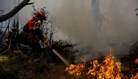 Onda de calor na Europa pode pressionar preços de alimentos e azeite