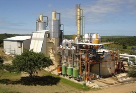 Pindorama confirma início da safra para o próximo dia 20