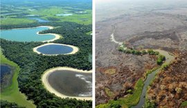 Chegada da chuva diminui queimadas no Pantanal