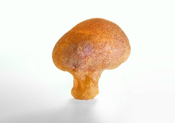 Âmbar de 40 milhões de anos com formato semelhante a brócolis é encontrado na Rússia