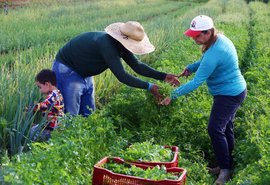 Ifal abre chamada para compras de alimentos da agricultura familiar