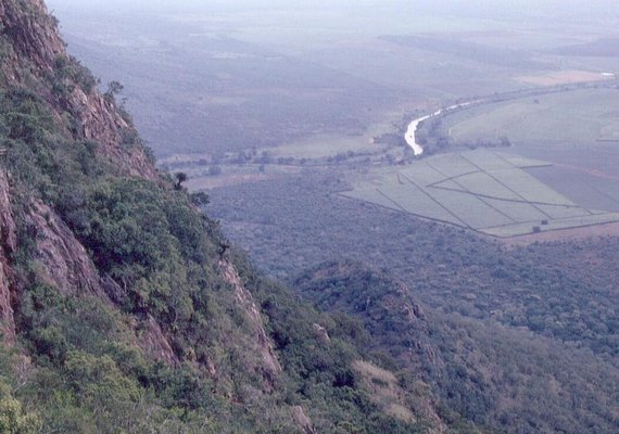 Camas pré-históricas revelam hábitos sofisticados de humanos há 200 mil anos