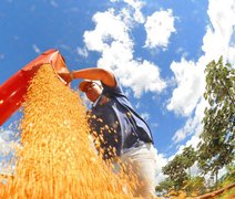 IBC-Br cai 0,6% em junho, aponta Banco Central