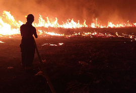 Incêndio de grandes proporções invade vegetação na AL-101