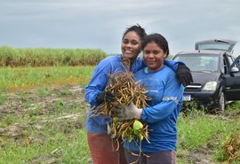 Agricultura familiar cresce em Coruripe e entra em novo ciclo de desenvolvimento no campo