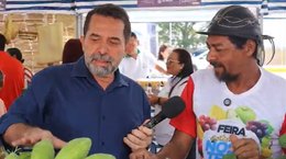 Pequeno produtor aposta na agricultura orgânica