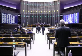 Câmara aprova proibição de tatuagem e piercing em cães e gatos