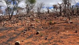 Seca se agrava e atinge 100% do território de Alagoas