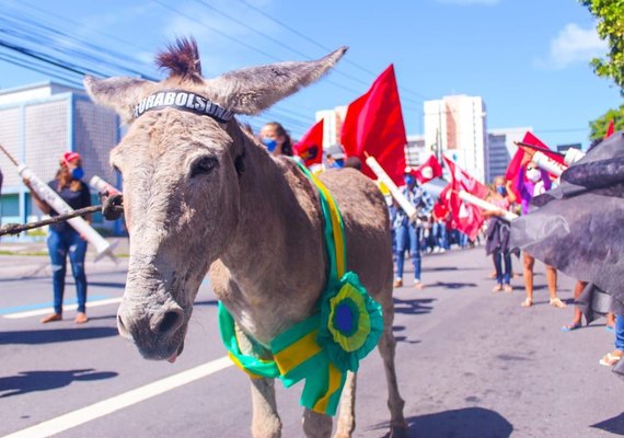 Manifestantes usam jumento como sósia de bolsonaro durante ato  em Maceió