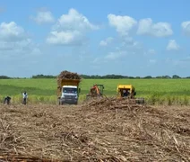 Conab inicia pagamento da subvenção da cana aos fornecedores em Alagoas