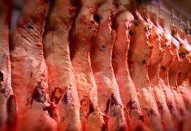 Carne bovina: preços andando de lado no varejo