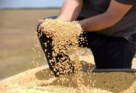 Tarifa dos EUA pode atingir 36,5% das exportações do agro brasileiro