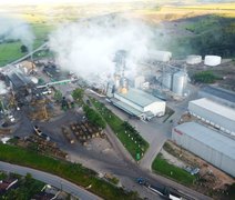 Cooperativa Pindorama aposta em etanol do sorgo