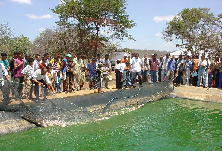 Uso de água salobra pode ampliar produção no Semiárido