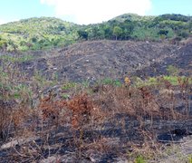 Período seco e baixa umidade em Alagoas aumentam riscos de queimadas, alerta IMA